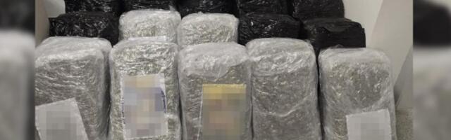 Srbi pohapšeni u Španiji i Austriji: Klan "pao" u međunarodnoj akciji, švercovali drogu vrednu više od tri miliona evra (FOTO)