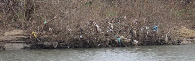 Južna Morava kod Dobrotina(FOTO)