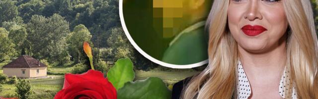 MILICA TODOROVIĆ PRIREDILA IZNENAĐENJE OŽENJENOM PARTNERU: Zakupila kuću pa ga odvela van Beograda! Ovo su detalji