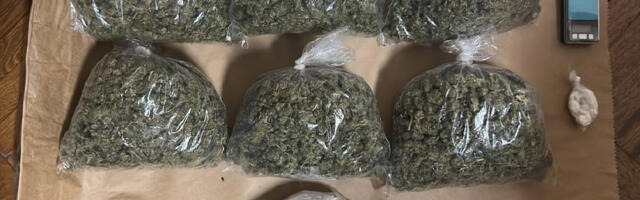 U okolini Novog Sada zaplenjeno 4,8 kilograma marihuane, uhapšeno dvoje