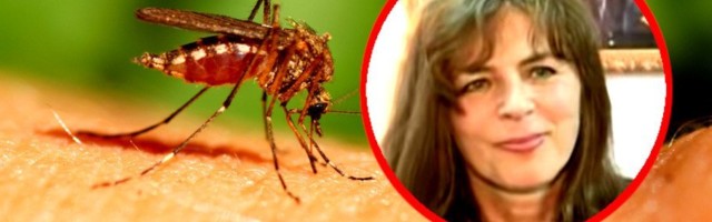 SVE O ZARAZI OD KOJE JE PREMINULA MIRA FURLAN: Prenose je komarci, samo jedan odsto ljudi ima teške simptome