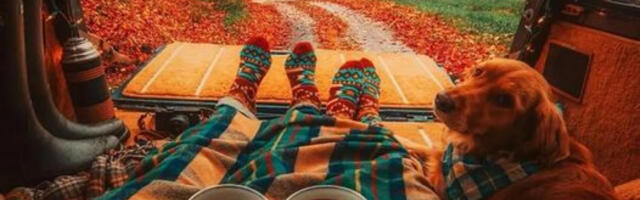 HOROSKOP ZA NOVEMBAR Vodolijija započinje prelepu romansu, Strelac treba da se kloni rizičnih projekta i ekstremnih događaja