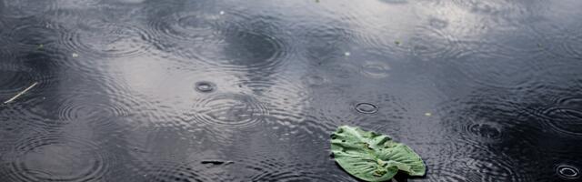 VREME DANAS: Oblačno, maglovito i hladno sa slabom kišom i vetrom