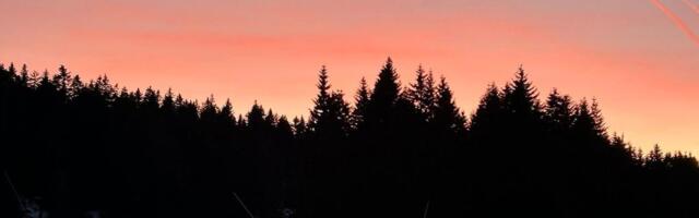 Srpska planina kao košnica! Turista nikad više, ljudi samo stižu, hladnoća im ne smeta