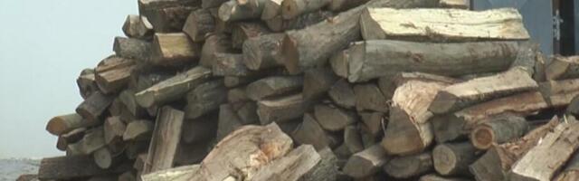 Ova vrsta ogrevnog drveta najduže gori i ima najveću gustinu: Najbolje je, a mnogi ga izbegavaju