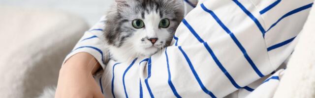 Ko kaže da mačka ne ume da kaže "hvala": Prvu "zahvalnicu" od mogućih PET uvek ćete čuti iz njenih usta