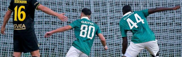 Nekadašnja nada Zvezde vodi svoj tim ka duploj kruni: Željko Gavrić blista u Mađarskoj!