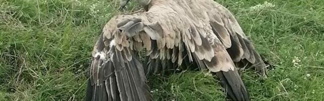 Srbija ovo ne pamti: Pogledajte šta se danas spustilo na Pešter: Prizor iz sela Doliće ostaviće vas u šoku! (FOTO)