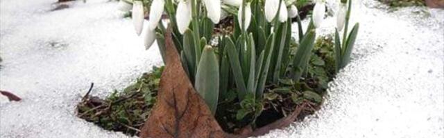 Smena zime i proleće, a onda totalni preokret: Evo kakvo nas vreme čeka narednih 7 dana