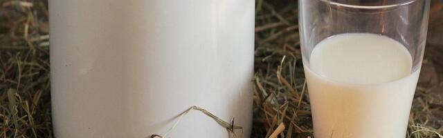 Otvoren javni poziv za premiju za mleko za prvi kvartal