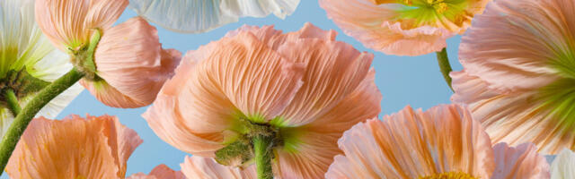 Mesečni horoskop za maj: Zanimljivi i intenzivni dani su pred svima nama