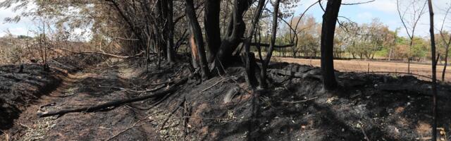 Uprava za vanredne situacije u Kragujevcu izdala upozorenje zbog najave opasnih vremenskih pojava – crveni meteoalarm za vikend