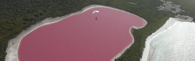 Srbija ima Roze jezero: Evo gde se nalazi turistički dragulj i zašto ga je najbolje posetiti u julu i avgustu
