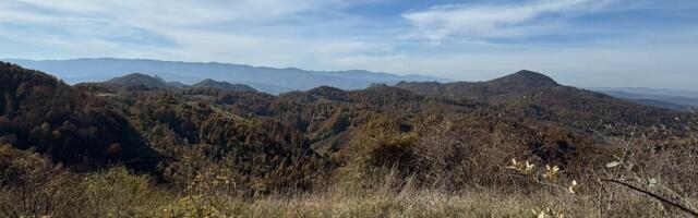 Iz Rogozne samo kulja zlato, Australijanci dovlače još bušilica – Na Gradini udarili u novu žilu sa više od 10 grama po toni