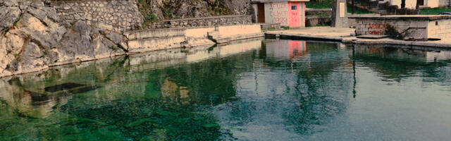 Užas u selu Popšica kod Svrljiga: muškarac zaklao psa i bacio ga u javni bazen