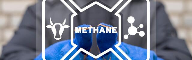 Pritisak s druge strane Atlantika: Vašington traži da EU spusti ekološke standarde za američki gas