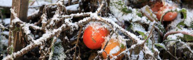 Jutarnji mraz i hladan severac: Evo kakvo nas vreme čeka danas