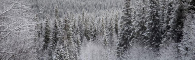 Претежно облачно и мало хладније, на планинама могућ снег