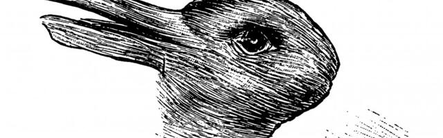 Jedna slika, dva značenja: Ono što prvo vidite otkriva kako vam mozak radi