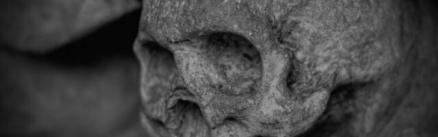 U vikinškoj grobnici pronađen SKELET DŽINA!