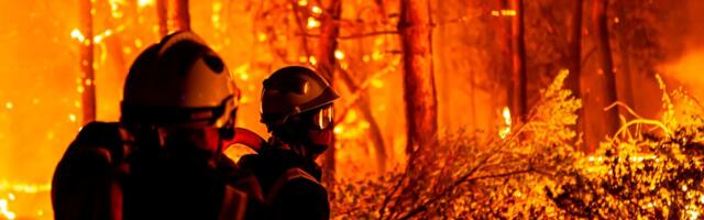 Nezapamćeni požari haraju Evropom, proširili se na 4 države: Strahuje se da bi mogli da potraju do novembra