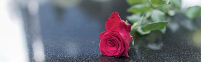 Danas su Mitrovske zadušnice