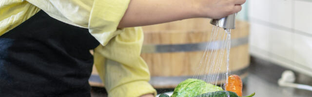 Kako oprati povrće i voće da biste se oslobodili otrovne hemije?