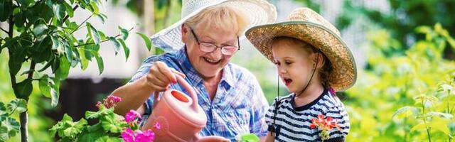 Jedan sastojak iz kuhinje čini čuda u bašti - cveće će vam biti zahvalno
