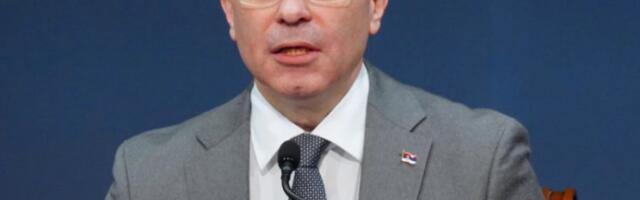 Милићевић на Малти: Српске допунске школе чувају културу, језик и национални идентитет