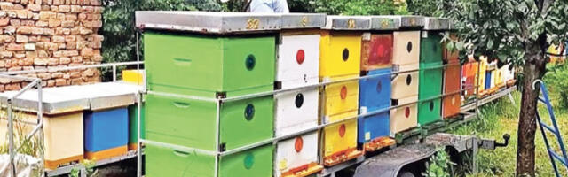Банатски мед постаје део туристичке понуде