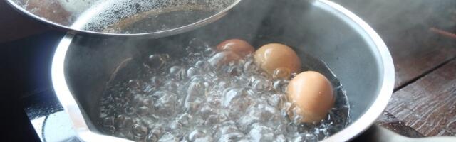 Ne bacajte vodu u kojoj ste kuvali jaja za Uskrs: Evo za šta može biti korisna u vašem domu