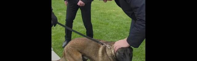 "MILUTIN JE TAKOĐE DOBRA KOBRA, OPASAN, OPAK, ODAN DO KRAJA": Oglasio se predsednik Vučić na Instagramu! (VIDEO)