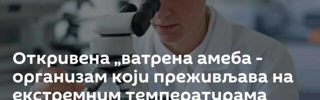Откривена „ватрена амеба - организам који преживљава на екстремним температурама /видео/