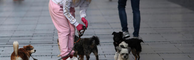 PAPRENE KAZNE ZA VLASNIKE PASA! Komunalna policija u civilu &quot;češlja&quot; parkove!