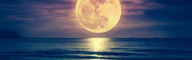 Mesec je ušao u Škorpiju! 3 znaka neka se spreme za transformaciju