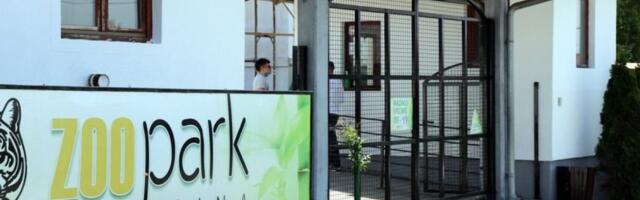 Da l' je realno: Šta to Megi radi u svom kavezu (VIDEO)