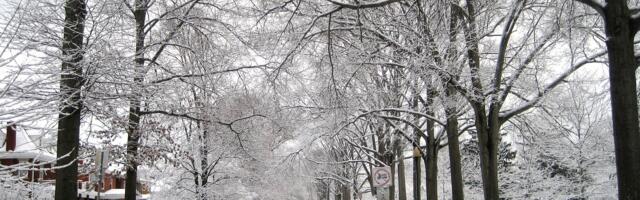 Da li nas čeka jedna od najhladnijih zima? Evo kako izgleda prognoza za decembar