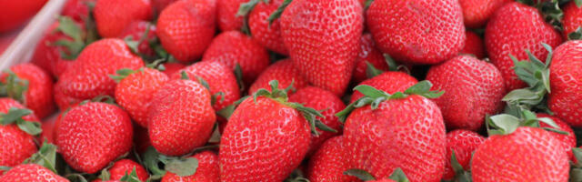 Stigle jagode u Srbiju, ali nećete biti srećni: Zaboleće vas glava kada vidite koliko košta kilogram