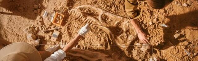 Šokantno otkriće: Naučnici pronašli mumuje sa četiri noge, a evo i gde