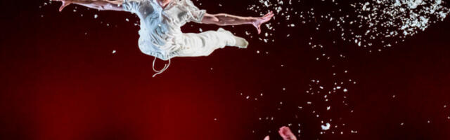 Визуелно запањујуће и дубоко поетично