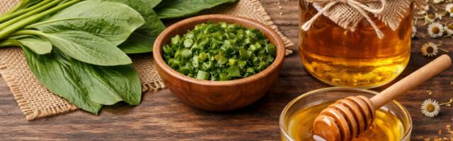 Bokvica i med za želudac - Recept