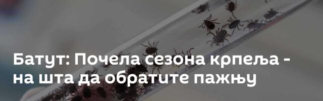 Батут: Почела сезона крпеља - на шта да обратите пажњу