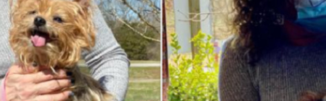 Vlasnici su se verovali da su Konora izgubili zauvek, sve dok jedan poziv posle 13 godina nije promenio sve