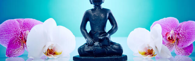 Otkrijte tajnu poruku feng šui cvetnih simbola