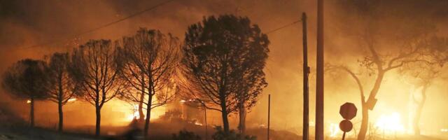 Krik koji kida dušu: Porodice žrtava jezivog požara u Grčkoj ovako reagovale na presudu, letele stolice