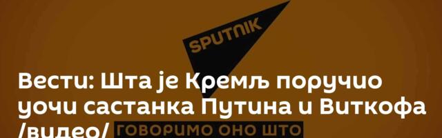 Вести: Шта је Кремљ поручио уочи састанка Путина и Виткофа /видео/