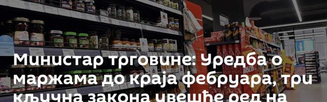 Министар трговине: Уредба о маржама до краја фебруара, три кључна закона увешће ред на тржишту