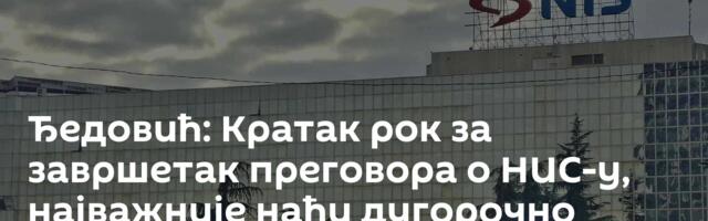 Ђедовић: Кратак рок за завршетак преговора о НИС-у, најважније наћи дугорочно решење