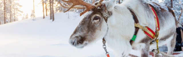 Laponija je mesto gde ćete se uveriti da postoji prava zimska čarolija (FOTO)