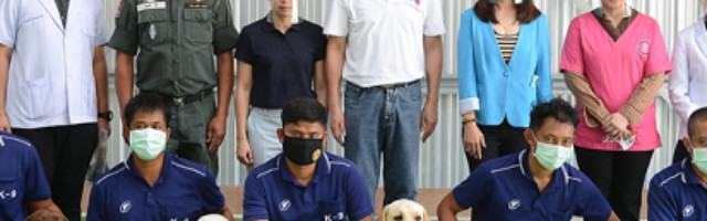 Na Tajlandu su počeli psi po aerodromima i lukama da otkrivaju koronavirus!